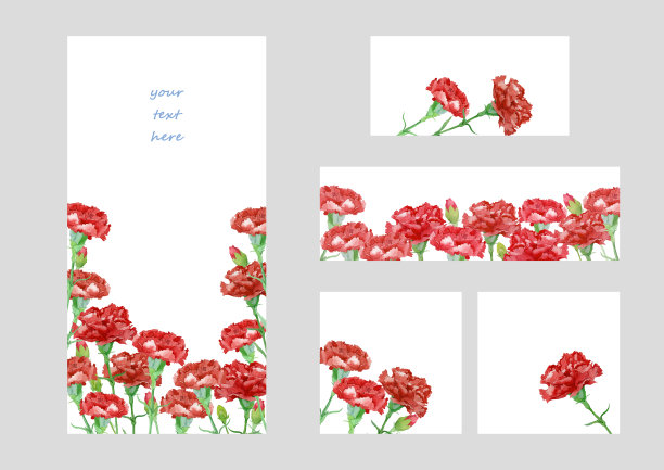 康乃馨的框架和旗帜图片下载