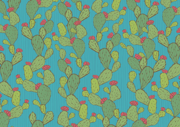 复古的仙人掌背景图片下载