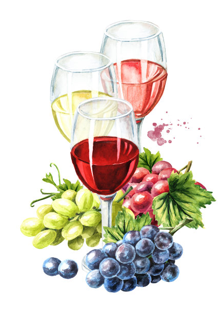 杯玫瑰，红和白葡萄酒与葡萄叶和葡萄浆果。手绘水彩插图孤立的白色背景图片下载