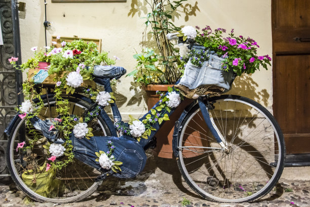 蓝色的自行车靠在墙上，篮子里放着花图片下载