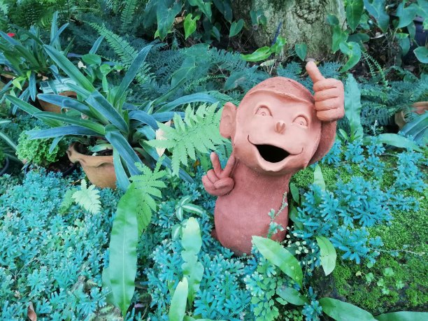 泰国丛林里小猴子的笑脸图片下载