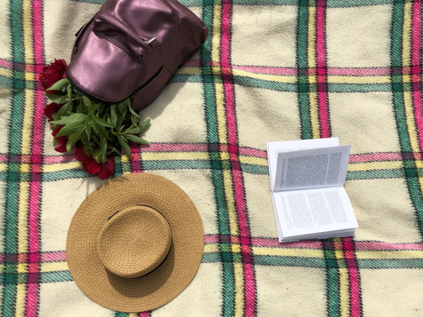 草帽，紫色背包，打开书在一个方格毯子上的草地上，俯视图。副本的空间。节日的概念图片下载