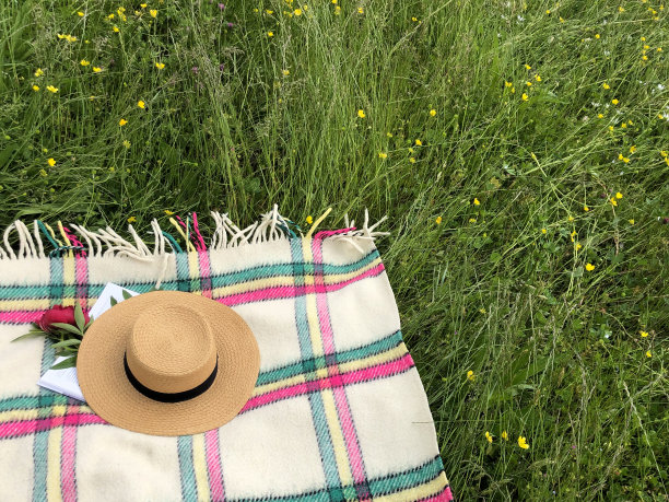 一张带流苏的毯子，一个打开的书，红牡丹和草帽在绿草的背景。副本的空间。野餐的概念图片下载