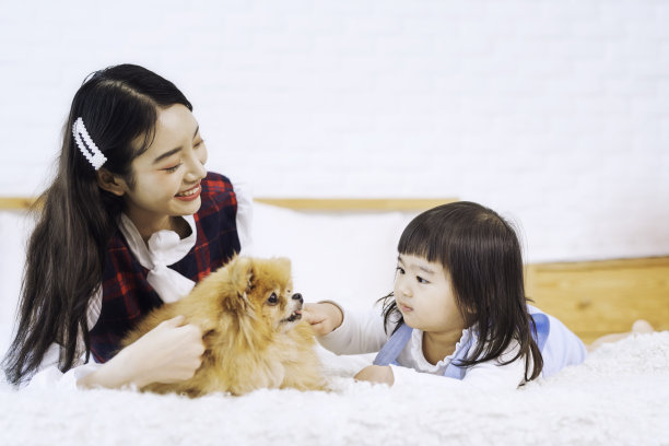 宠物情人的概念。姐姐和姐姐女人与博美犬斯皮兹向前看。亚洲女孩和年轻女人和小狗期待坐在床上的卧室。图片下载