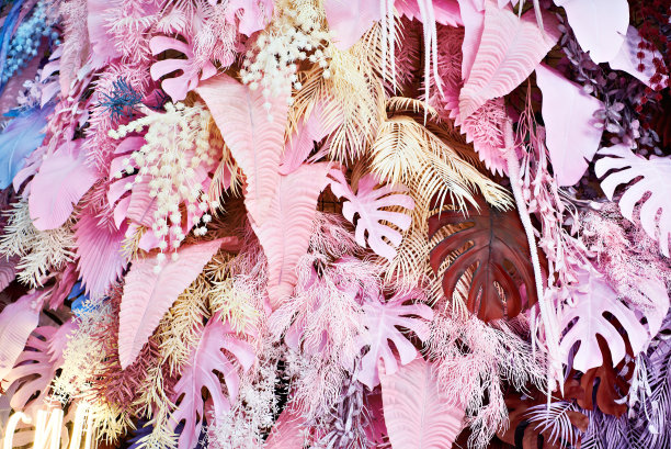 装饰性的粉红色热带叶子图片下载