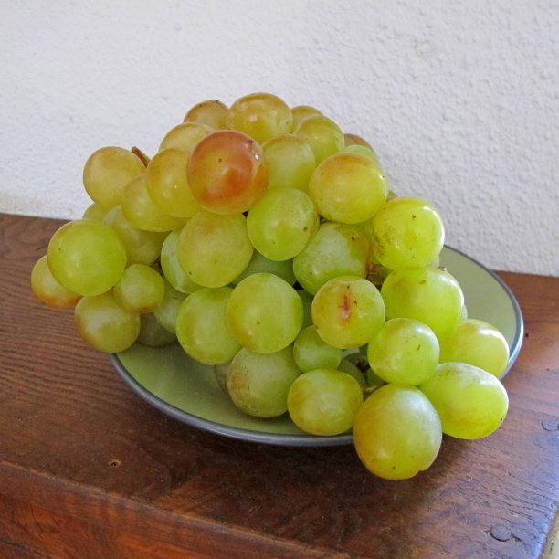 葡萄。图片下载