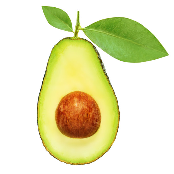 叶孤立在白色背景上的鳄梨果实。带籽有机牛油果图片下载