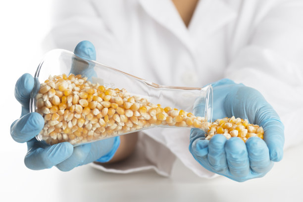 转基因图片下载