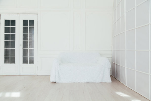 沙发在室内的白色房间装饰的房子图片下载