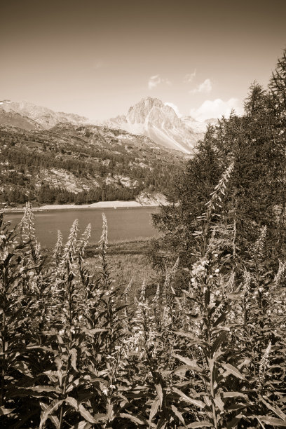 漫步在锡尔斯湖-上恩加丁山谷-瑞士图片下载