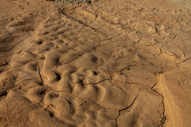 沙漠水坑干地图片下载