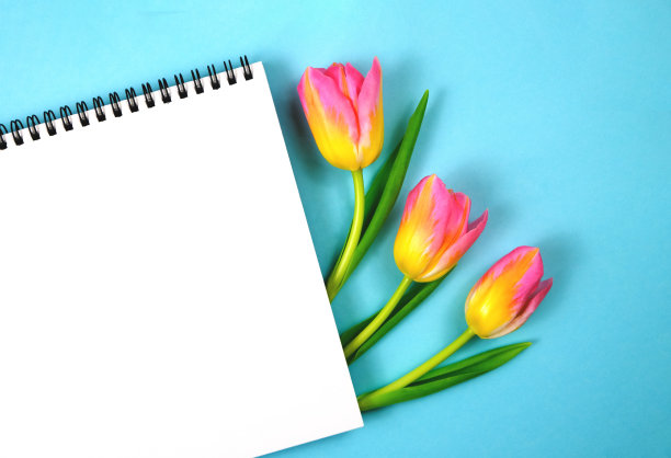 白色笔记本孤立在蓝色背景。图片下载