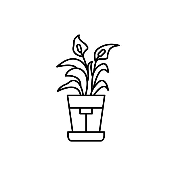 和平莲图标。简单的线条，轮廓向量元素的室内植物ui和ux，网站或移动应用程序图片下载