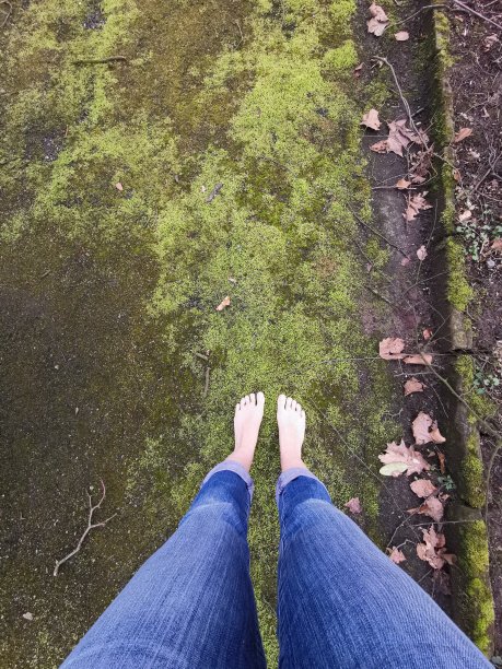 光脚站在柔软的青苔上，感觉与地球母亲相连图片下载