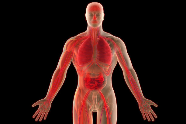 冠状病毒科维德-19。图片下载