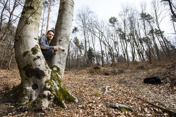年轻的成年男子蹲在一棵树上，看着森林-股票照片图片下载