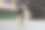 狗在公园里玩图片下载