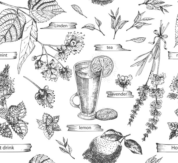 无缝模式与复古手绘草图热饮元素隔离在白色背景。八角，肉桂，薰衣草，迷迭香，柠檬，姜，咖啡，茶，薄荷，椴树。图片下载