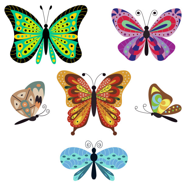 蝴蝶矢量卡通集孤立在白色背景。图片下载