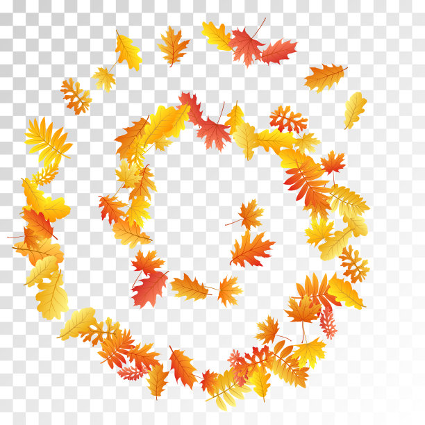 橡树，枫树，野白蜡花叶矢量，秋叶上透明的背景。图片下载