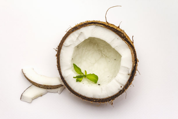 成熟的椰子切成两半孤立图片下载