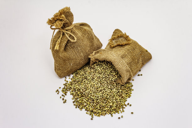 成熟的大麻种子孤立在白色背景上图片下载