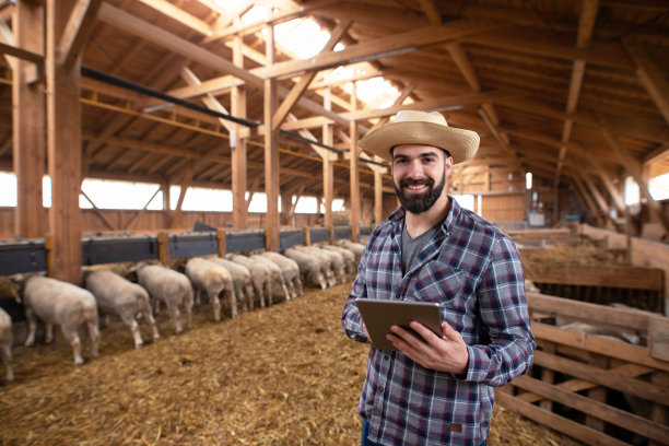 站在木制羊圈里手持平板电脑的农场主，智慧农业图片下载