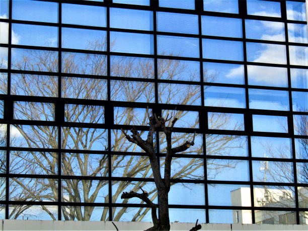 日本。三月里晴朗的一天。城市映在建筑的玻璃墙上。图片下载