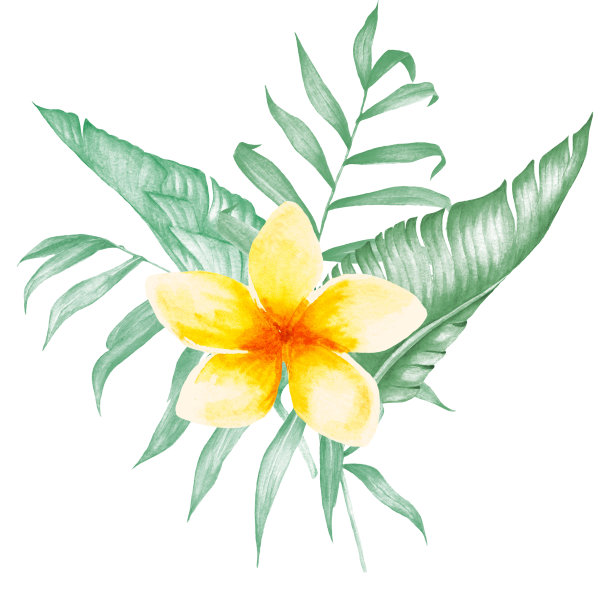 水彩热带植物素材合集：棕榈树、香蕉叶和龟背竹与热带花卉图片下载