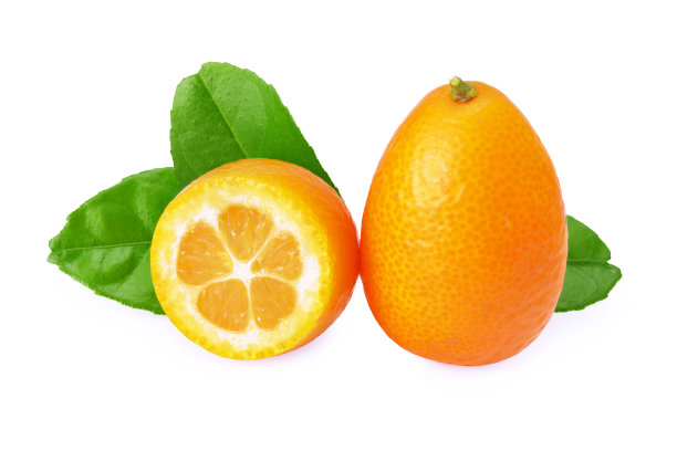 金桔或金桔，叶子绿色，在白色背景上分离成薄片图片下载