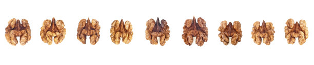 一组不同的核桃仁孤立在一个白色背景。前视图。图片下载
