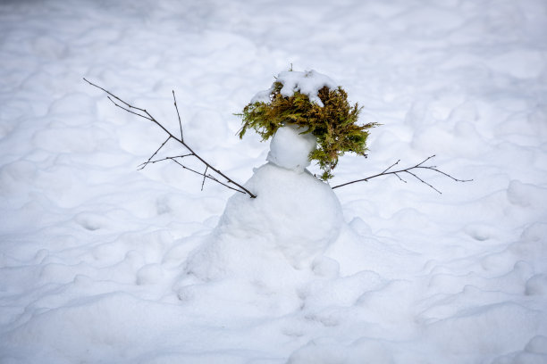 雪人的树枝手臂和一个大苔藓头发做图片下载