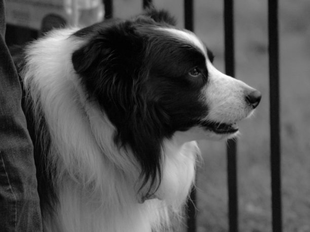 等待着你图片下载