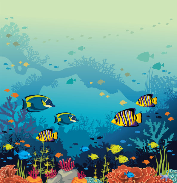 水下珊瑚礁和鱼类图片下载