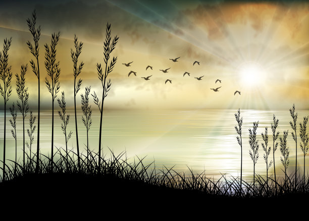 海上和海上的热带日出图片下载