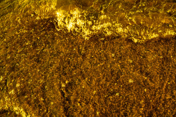 夕阳下的金色沙滩图片下载