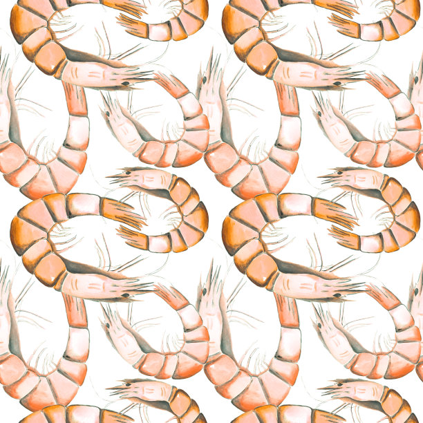 水彩无缝虾图案上的白色背景。鲜活海鲜无尽手绘印花。图片下载