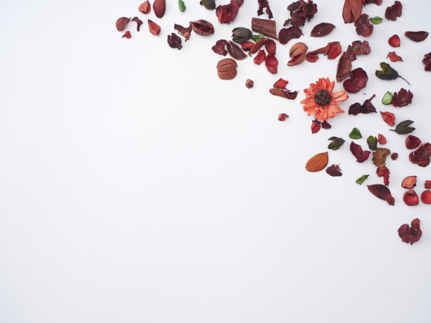 干花的框架芳香的花香在白色的背景。图片下载