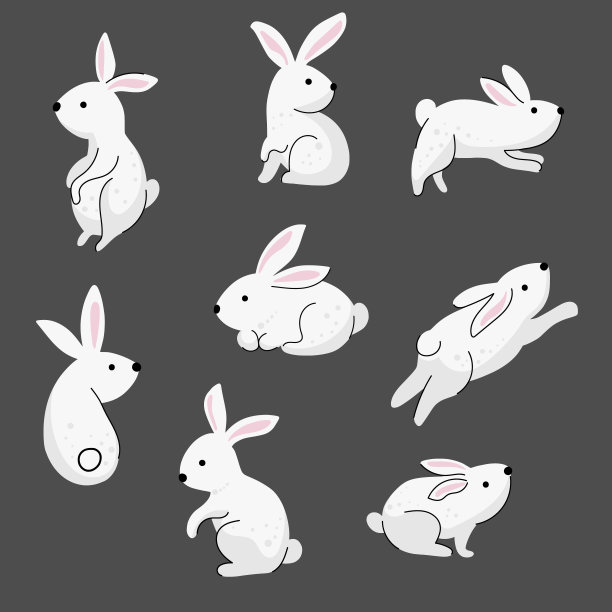 收集一些可爱的兔子图片下载