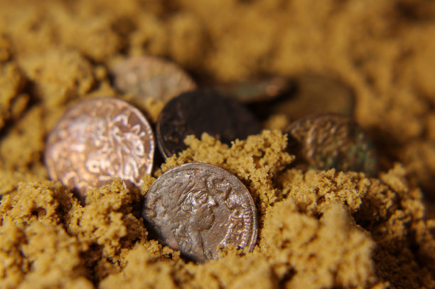 沙子里的立陶宛金币图片下载