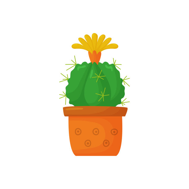 白色背景上的圆形、多汁、明亮、开花的室内植物图片下载