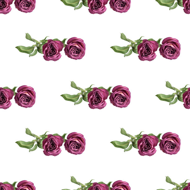 无缝图案粉红玫瑰花与绿叶在白色背景孤立近距离，紫红色玫瑰重复点缀，红色花朵印花，紫色花卉艺术背景，浪漫的复古墙纸图片下载