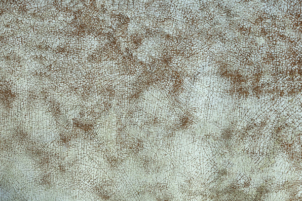 真皮纹理背景图片下载