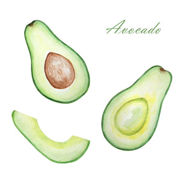 水彩牛油果图像集。孤立在白色背景上。素材图片