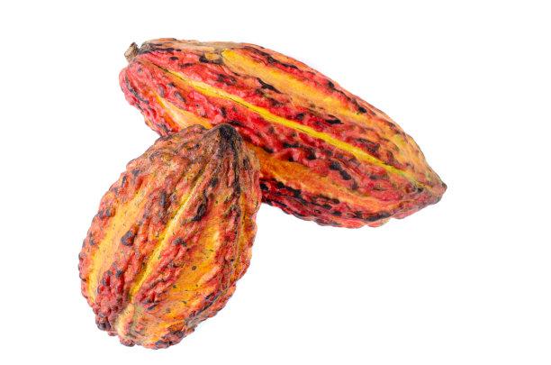 白色背景上的两个天然可可耳朵。天然食品的概念。图片下载