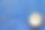 成熟的椰子切成两半孤立图片下载