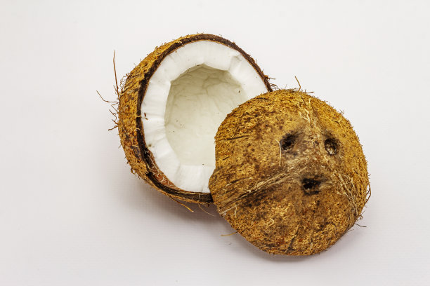 成熟的椰子切成两半孤立图片下载