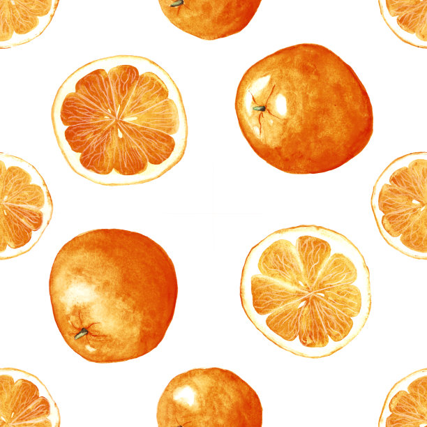 水彩手绘柑橘类水果无缝图案。橘子，桔子，还有一半在白色的背景上。图片下载