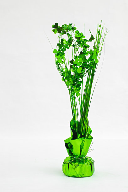 装饰三叶草站图片下载