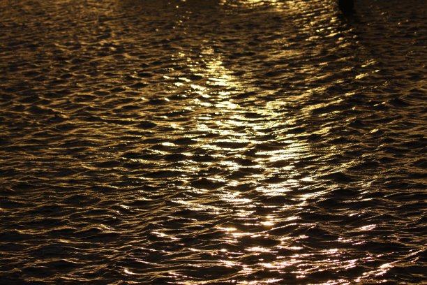 2020年2月22日黄昏水面上的阳光图片下载